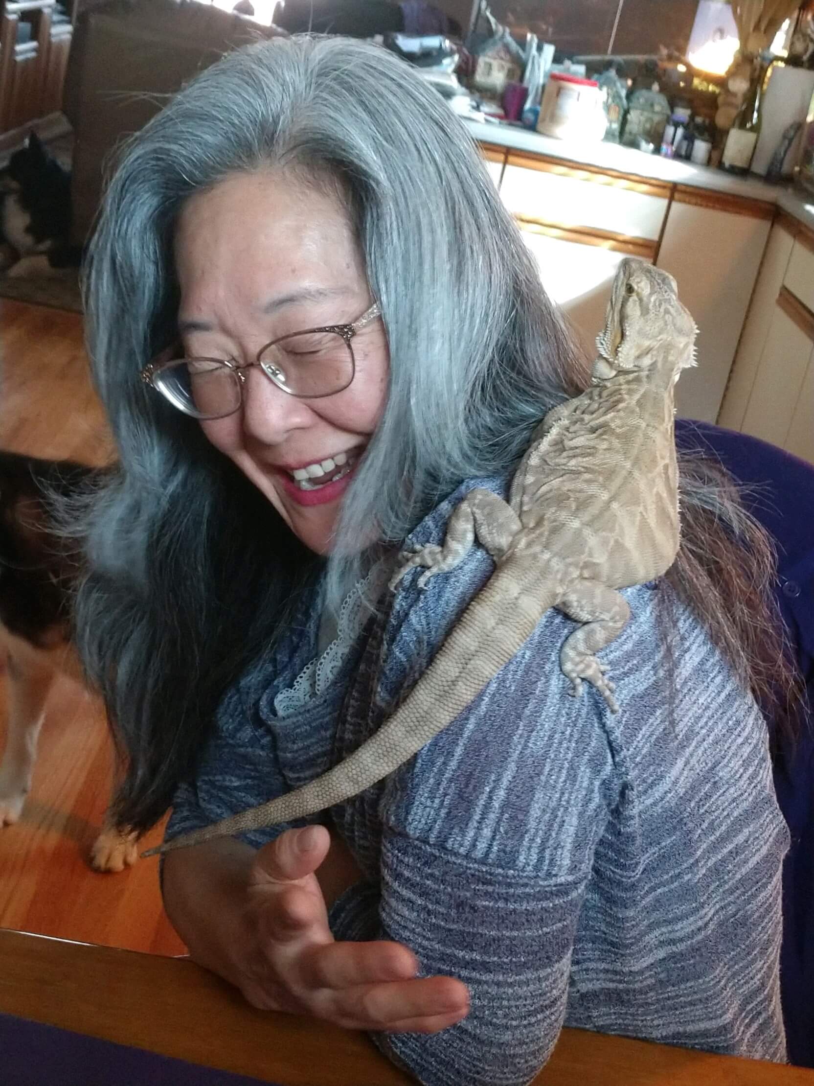 ArfMassage_Bearded Dragon 1